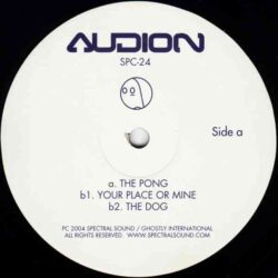 Audion - The Pong