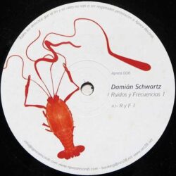 Damian Schwartz - Ruidos Y Frequincias 1