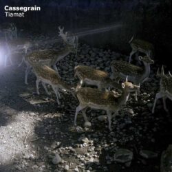 Cassegrain - Tiamat