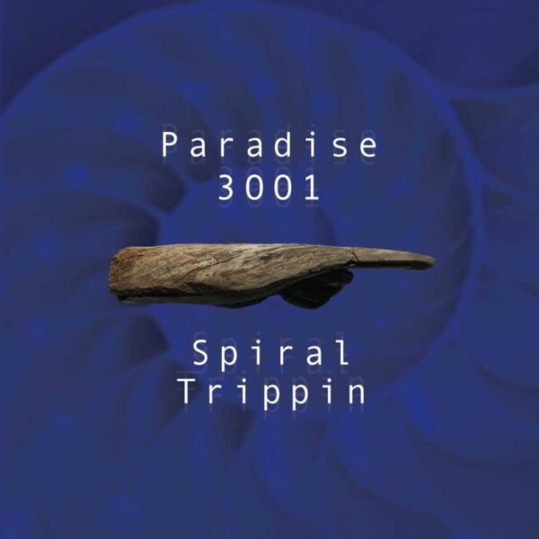 Paradise 3001 - Spiral Trippin