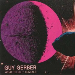 Guy Gerber - What To Do (Remixes)