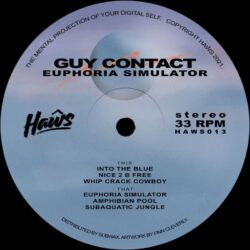 Guy Contact - Euphoria Simulator