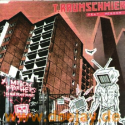 T. Raumschmiere Feat. MC Soom T - A Million Brothers
