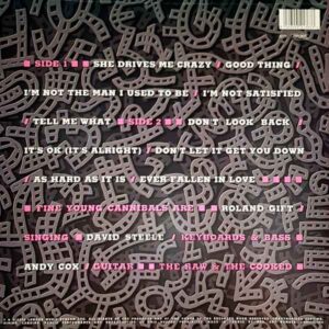 Fine Young Cannibals - The Raw & The Cooked