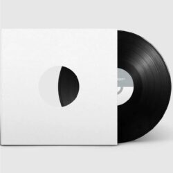 Parallel 9 - Dominus