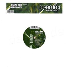 LD-Project feat Q-IC - Flowy Joey