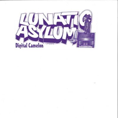 Lunatic Asylum – Digital Camelon