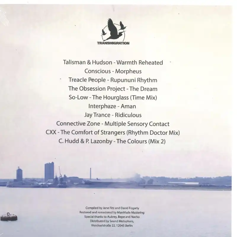 Jane Fitz, David Fogarty - Mysterious Vastness