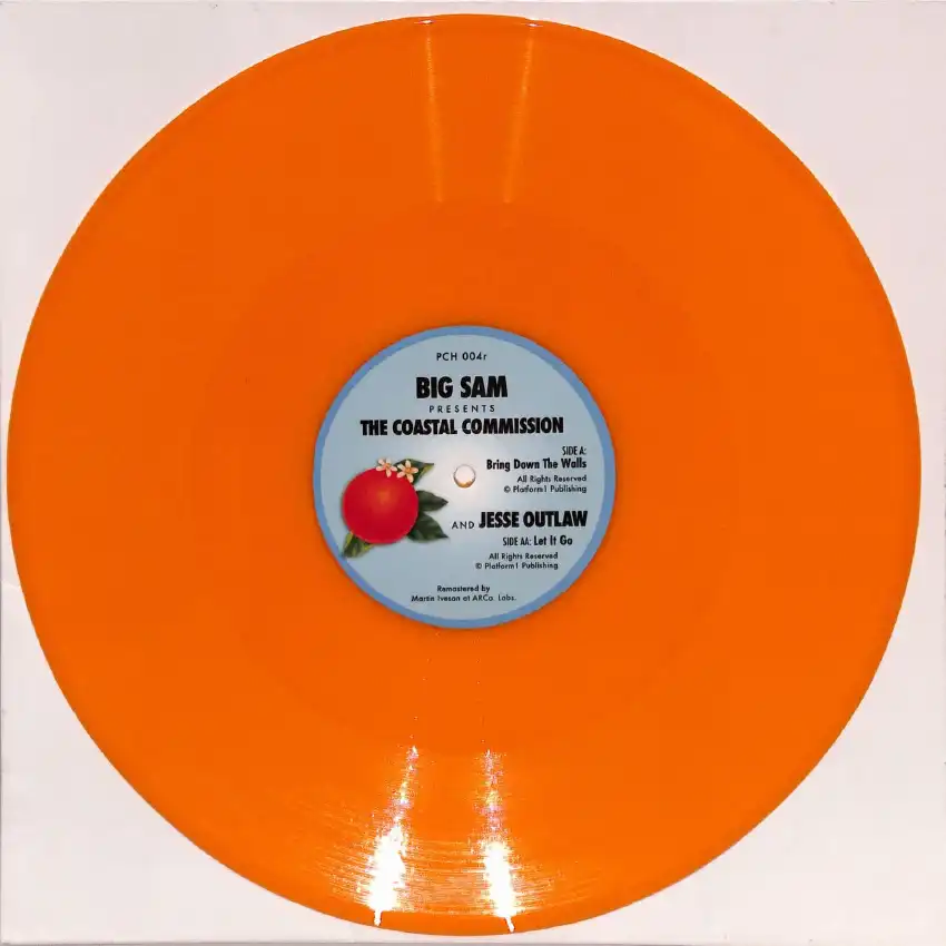 The Coastal Commission / Jesse Outlaw - Bring Down The Walls