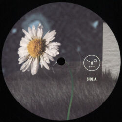 Sasha - Hollow Sun