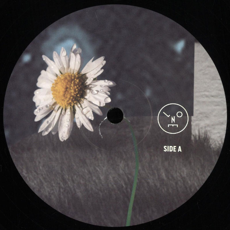 Sasha - Hollow Sun