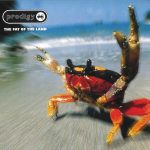 Prodigy - The Fat Of The Land